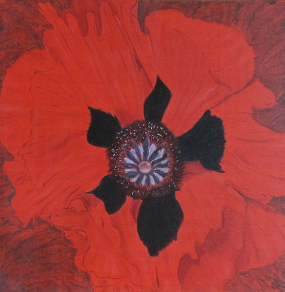 Original Oil Painting of Red Poppy