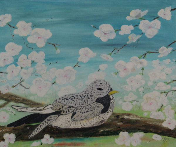Original Oil Painting by Grace Moore - Gray Bird in a Flowering Tree