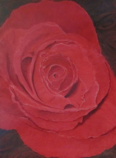 Original Oil by Grace Moore - Closeup of Red Rose